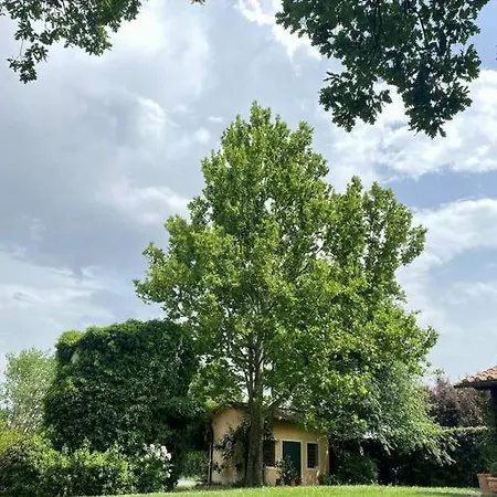 Villa Le Querce With Private Swimming Pool San Gemini