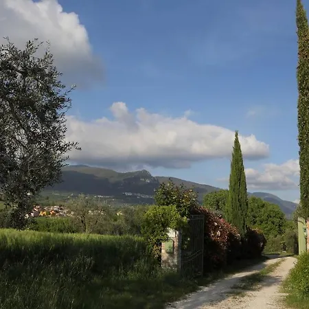 Le Querce With Private Swimming Pool